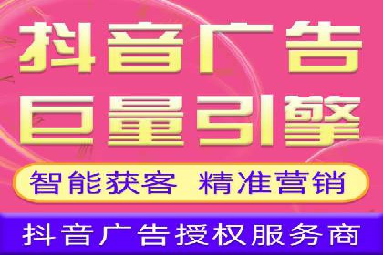 行业领先的SEM竞价广告投放案例